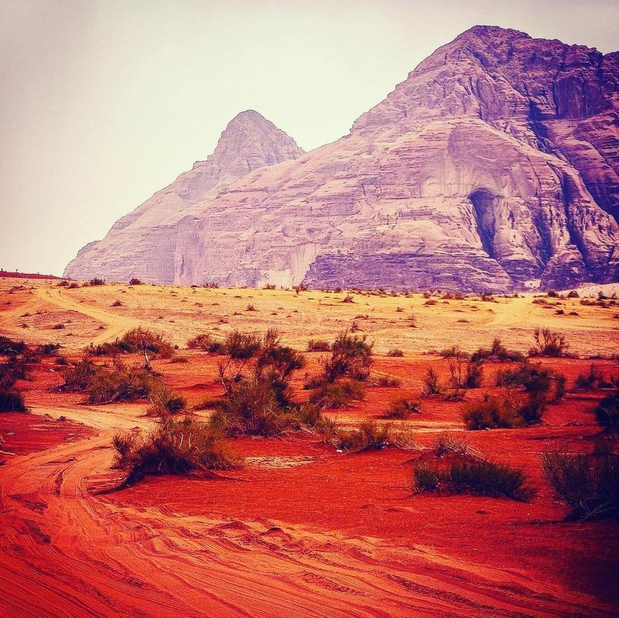 Maraheb Luxury Camp Hotel Wadi Rum Bagian luar foto